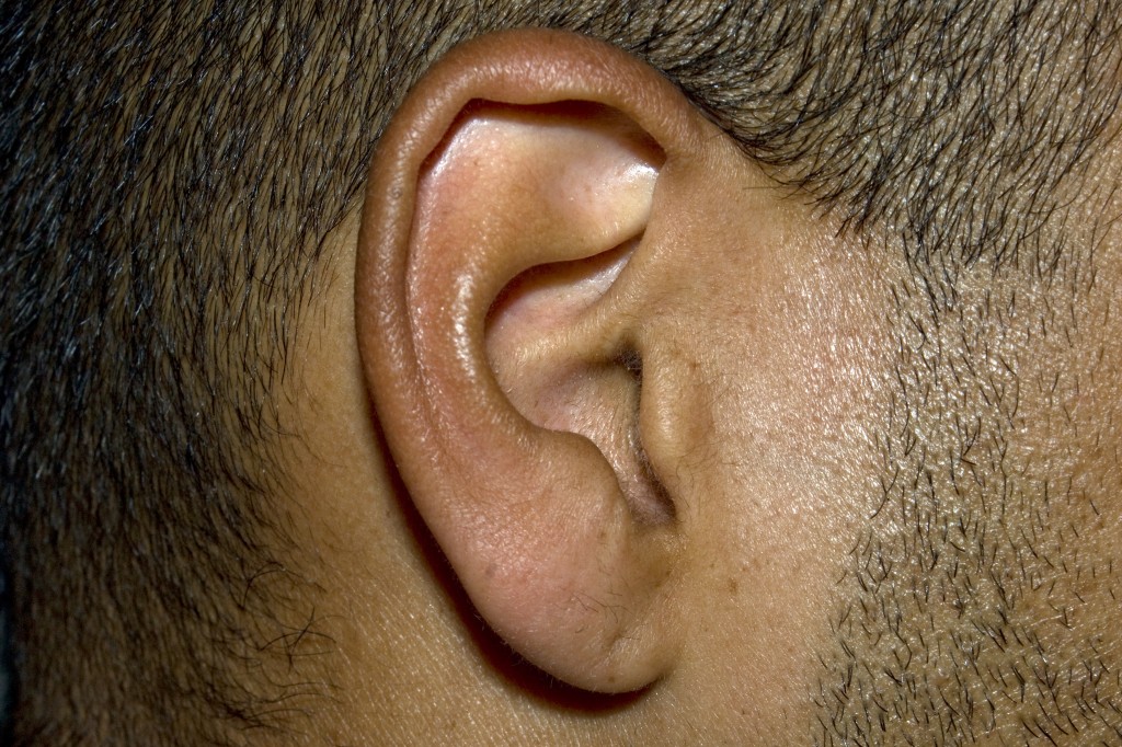 homeschool music ear for listen and learn Listening without your ears
